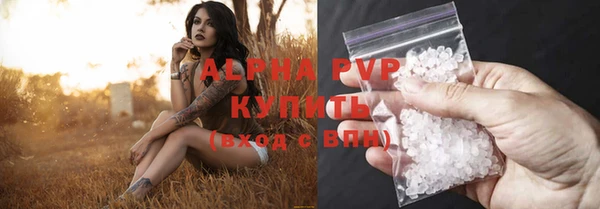 прущие грибы Анива