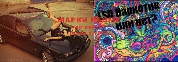 кокс Бородино
