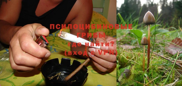 кокс Бородино