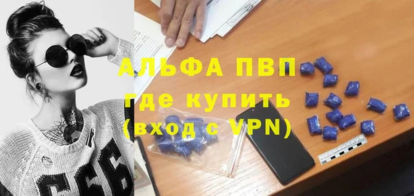 сатива Аркадак