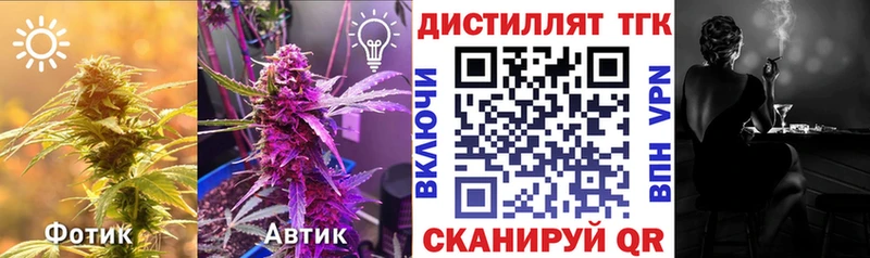 где можно купить   Зима  MEGA маркетплейс  ТГК концентрат 